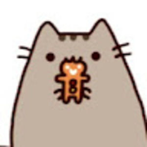 Meet your Posher, Ally